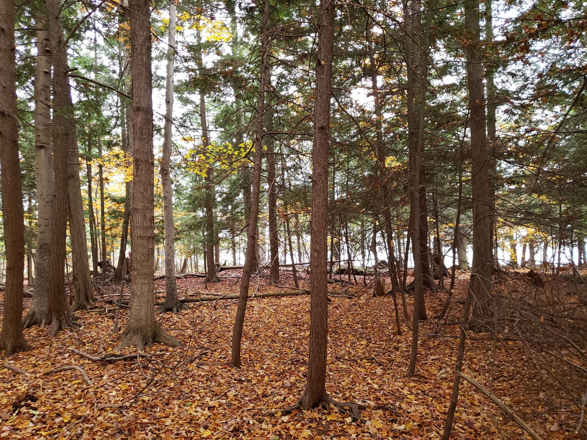 North Lake Commons Site 