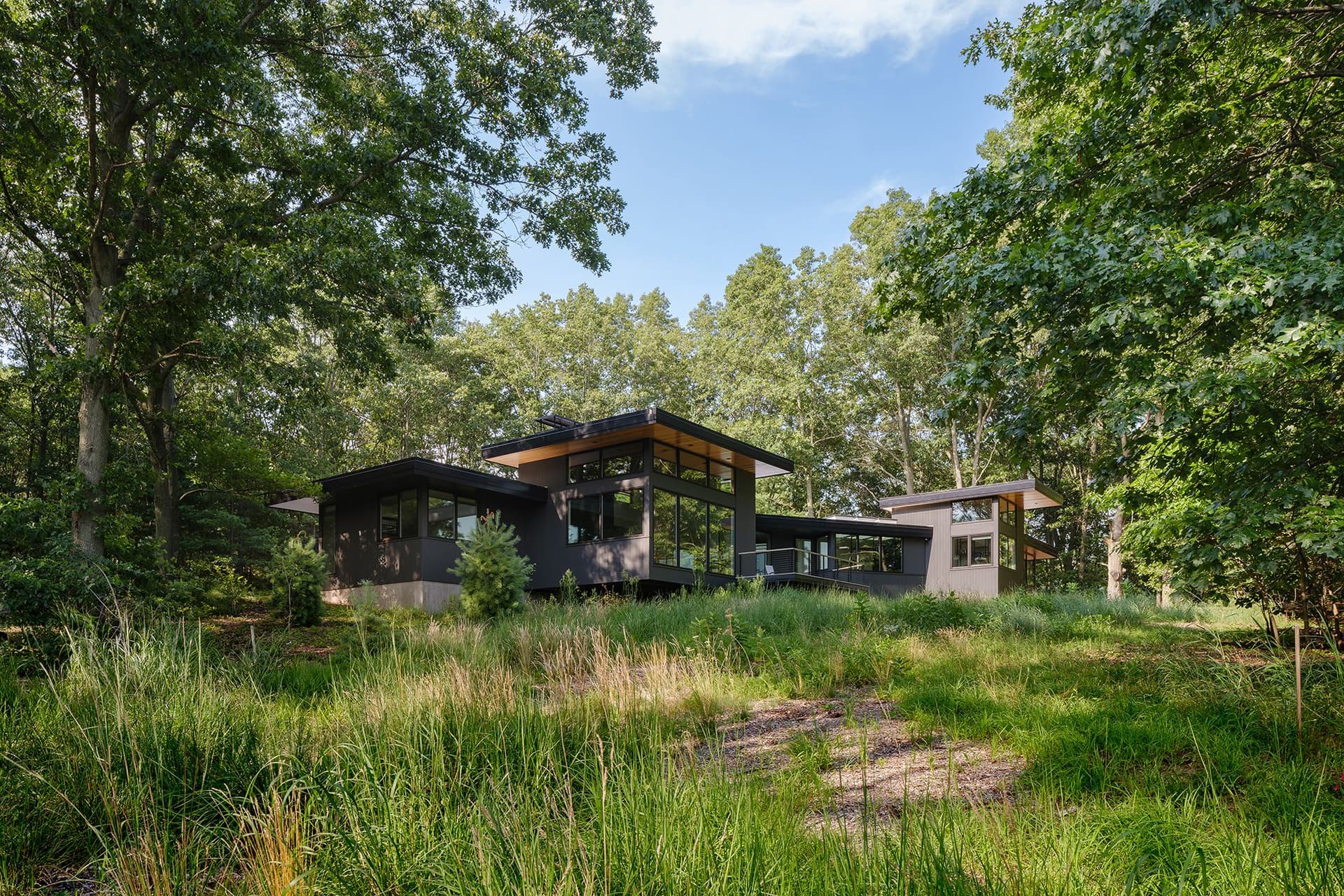 Dune Forest Retreat Exterior - Day time
