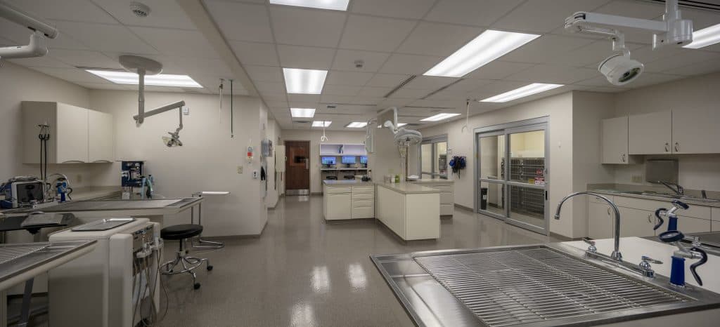 Eastown Vet Interior