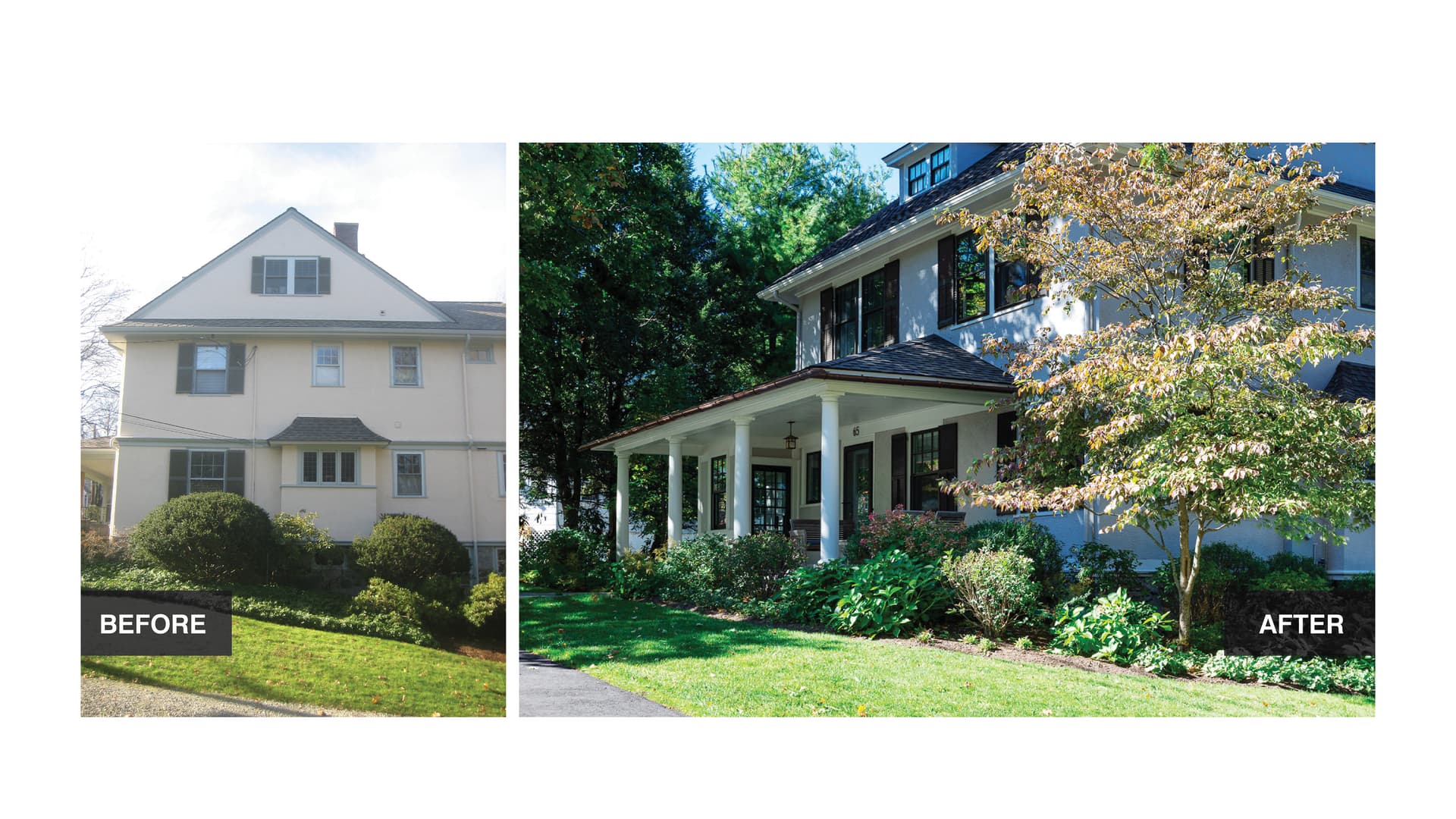 waldorf before and after