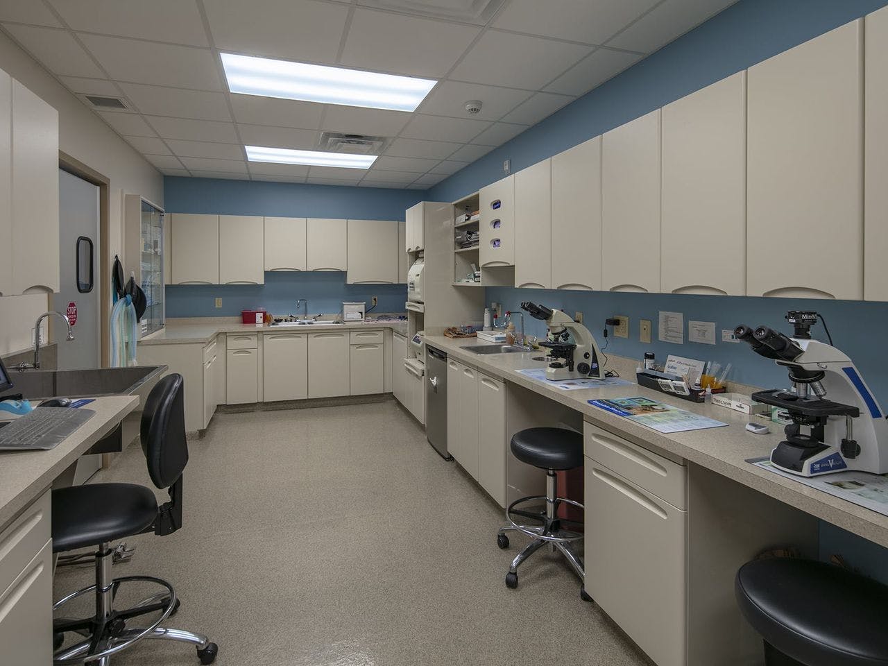 Eastown Veterinary Clinic lab
